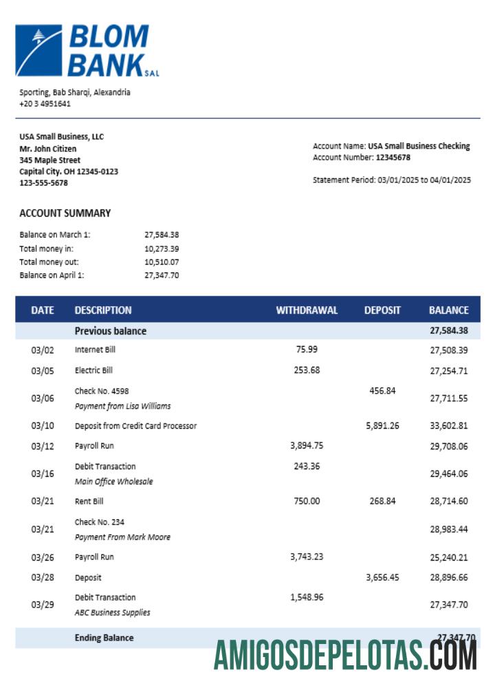 Imprimível Blom Bank Of Egypt Enterprise Account Statement Word And PDF modelo